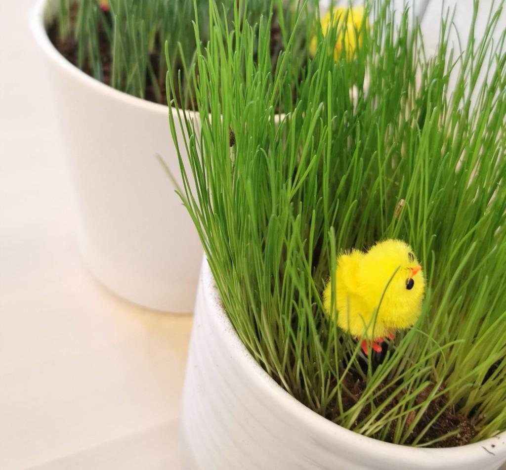 Traditional Finnish Easter chick